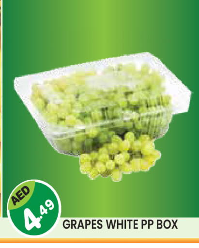 Grapes available at سنابل بني ياس in الإمارات العربية المتحدة , الامارات - أم القيوين‎