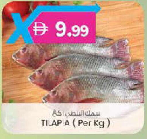 available at ك. الم. للتجارة in الإمارات العربية المتحدة , الامارات - دبي