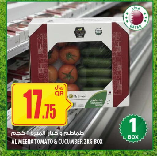 Tomato Cucumber from Qatar available at شركة الميرة للمواد الاستهلاكية in قطر - الدوحة