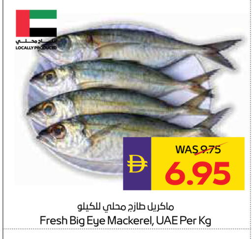 available at أدكووب in الإمارات العربية المتحدة , الامارات - ٱلْعَيْن‎