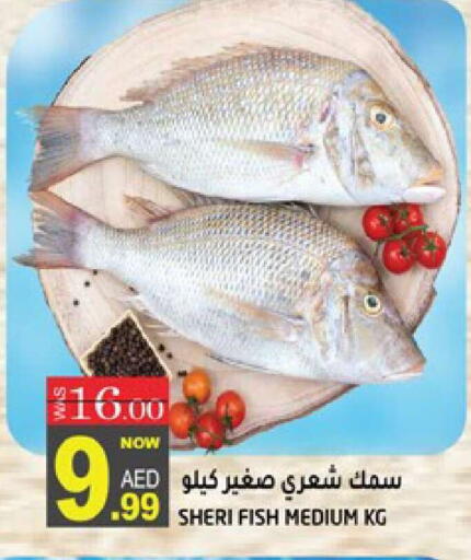 available at هاشم هايبرماركت in الإمارات العربية المتحدة , الامارات - الشارقة / عجمان