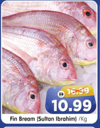 available at Al Madina Hypermarket in UAE - Abu Dhabi