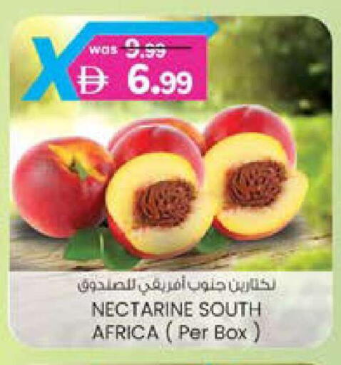 Nectarine from South Africa available at ك. الم. للتجارة in الإمارات العربية المتحدة , الامارات - دبي