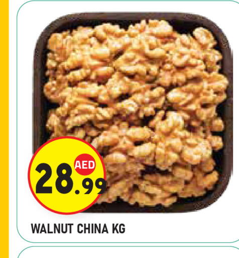 available at سنابل بني ياس in الإمارات العربية المتحدة , الامارات - ٱلْعَيْن‎