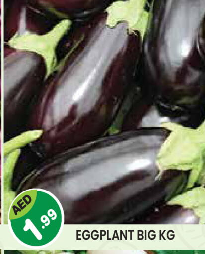Eggplant available at Baniyas Spike  in UAE - Umm al Quwain