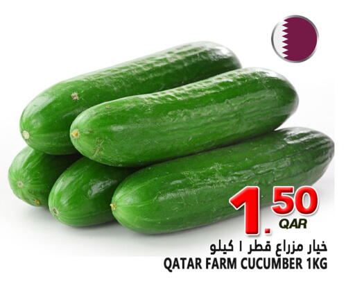 Cucumber from Qatar available at قصر الأغذية هايبرماركت in قطر - الخور