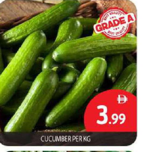 Cucumber available at بيج مارت in الإمارات العربية المتحدة , الامارات - أبو ظبي
