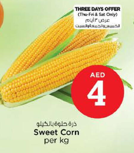 available at نستو هايبرماركت in الإمارات العربية المتحدة , الامارات - رَأْس ٱلْخَيْمَة