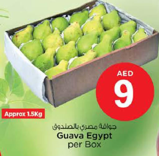Guava from Egypt available at نستو هايبرماركت in الإمارات العربية المتحدة , الامارات - رَأْس ٱلْخَيْمَة