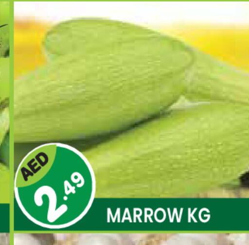Marrow available at Baniyas Spike  in UAE - Ras al Khaimah
