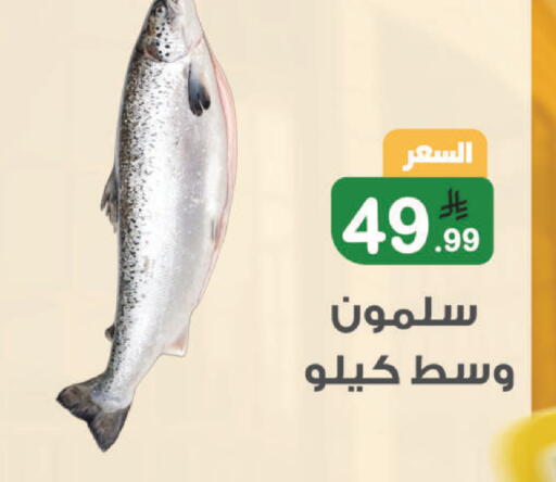 available at أسواق الرشيد in مملكة العربية السعودية, السعودية, سعودية - الرياض