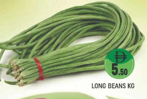 available at المدينة in الإمارات العربية المتحدة , الامارات - دبي