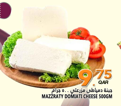 available at قصر الأغذية هايبرماركت in قطر - الخور