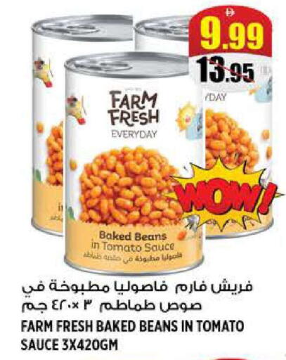 Tomato available at هاشم هايبرماركت in الإمارات العربية المتحدة , الامارات - الشارقة / عجمان