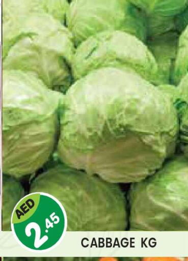 Cabbage available at سنابل بني ياس in الإمارات العربية المتحدة , الامارات - أبو ظبي