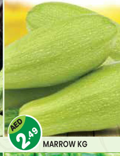 Marrow available at Baniyas Spike  in UAE - Umm al Quwain