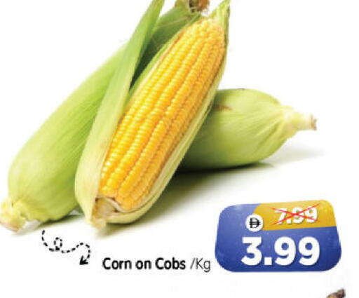 available at هايبر ماركت المدينة in الإمارات العربية المتحدة , الامارات - أبو ظبي