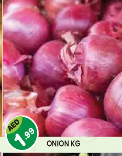 Onion available at Baniyas Spike  in UAE - Umm al Quwain