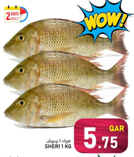 available at باشن هايبر ماركت in قطر - الوكرة