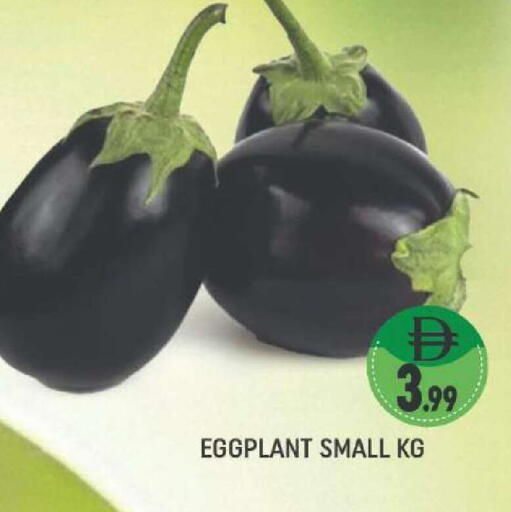 Eggplant available at المدينة in الإمارات العربية المتحدة , الامارات - دبي