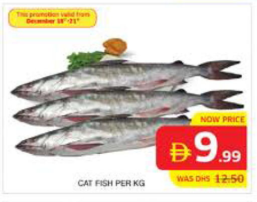 available at Seven Emirates Supermarket in UAE - Abu Dhabi