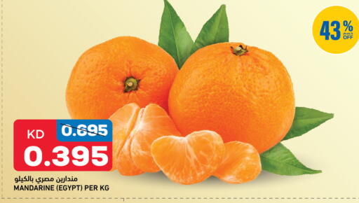 from Egypt available at Oncost in Kuwait - Kuwait City