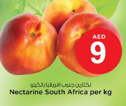 Nectarine from South Africa available at نستو هايبرماركت in الإمارات العربية المتحدة , الامارات - رَأْس ٱلْخَيْمَة