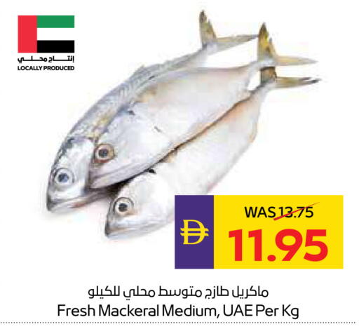 available at أدكووب in الإمارات العربية المتحدة , الامارات - ٱلْعَيْن‎