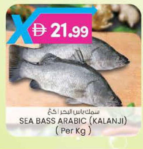 available at الصفا in الإمارات العربية المتحدة , الامارات - ٱلْعَيْن‎