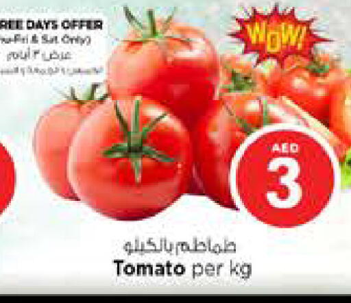 Tomato available at نستو هايبرماركت in الإمارات العربية المتحدة , الامارات - الشارقة / عجمان