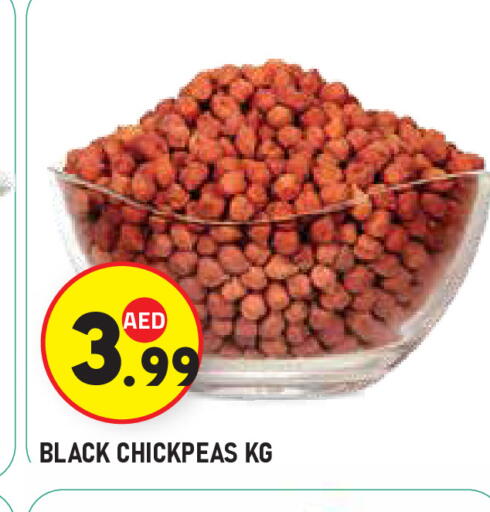 available at سنابل بني ياس in الإمارات العربية المتحدة , الامارات - أبو ظبي