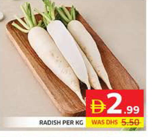 Radish available at Seven Emirates Supermarket in UAE - Abu Dhabi