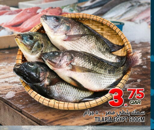 available at قصر الأغذية هايبرماركت in قطر - الدوحة