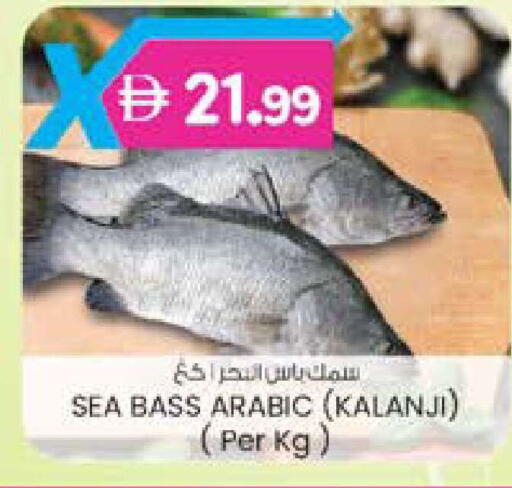 available at ك. الم. للتجارة in الإمارات العربية المتحدة , الامارات - دبي