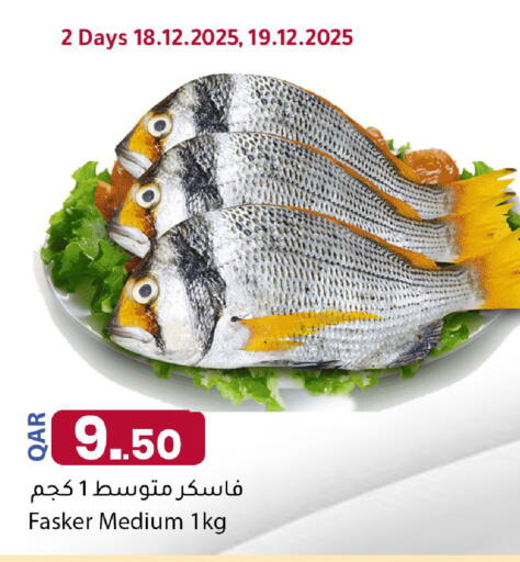 available at دانا ماركت in قطر - الشمال