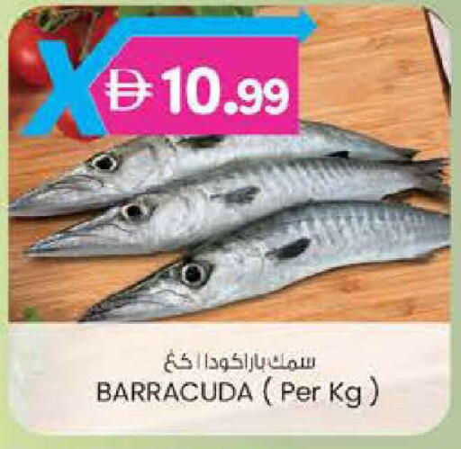 available at صفا هايبر in الإمارات العربية المتحدة , الامارات - ٱلْعَيْن‎