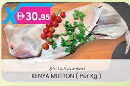 available at ك. الم. للتجارة in الإمارات العربية المتحدة , الامارات - ٱلْفُجَيْرَة‎