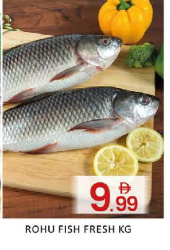 Mango available at مانجو هايبرماركت in الإمارات العربية المتحدة , الامارات - دبي