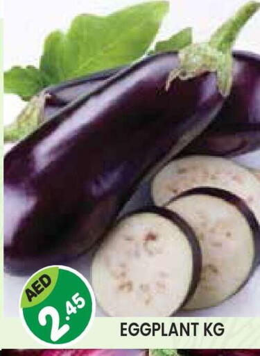 Eggplant available at سنابل بني ياس in الإمارات العربية المتحدة , الامارات - أبو ظبي