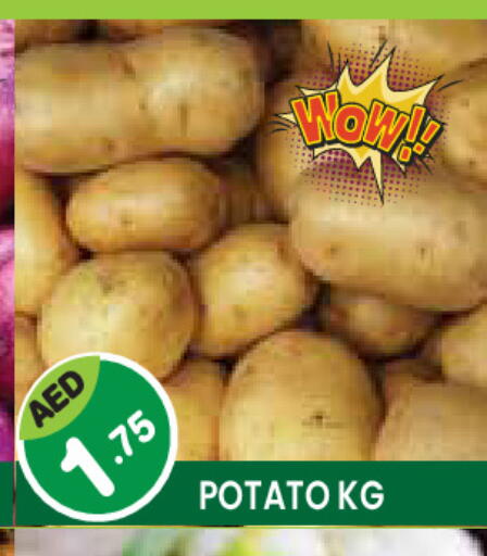Potato available at Baniyas Spike  in UAE - Ras al Khaimah