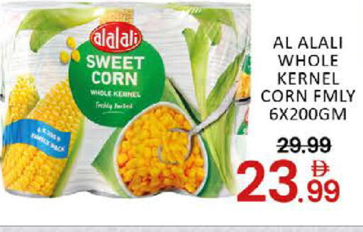 Mango available at مانجو هايبرماركت in الإمارات العربية المتحدة , الامارات - دبي