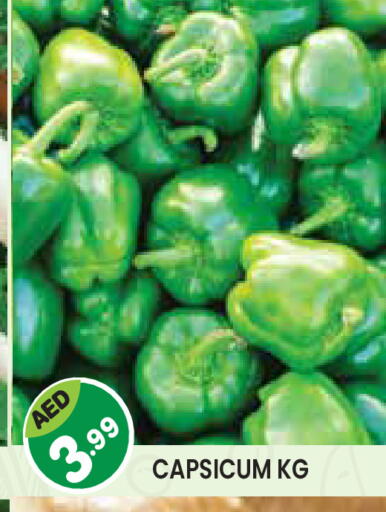 Capsicum available at Baniyas Spike  in UAE - Umm al Quwain