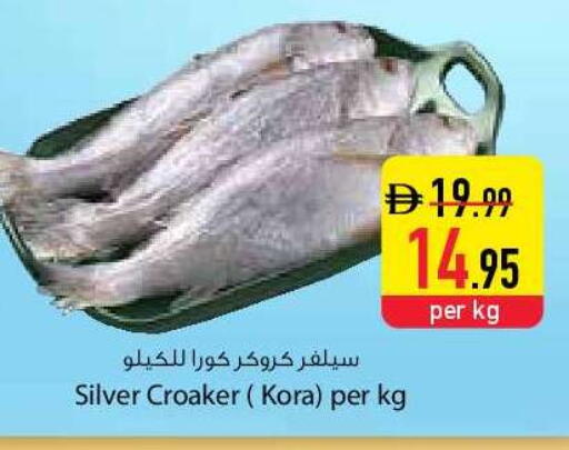 available at السفير ماركت in الإمارات العربية المتحدة , الامارات - دبي