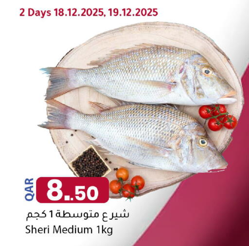 available at دانا ماركت in قطر - الشمال