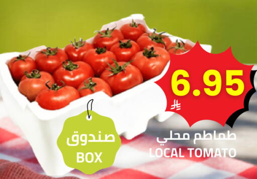 Tomato available at Astra Markets in KSA, Saudi Arabia, Saudi - Tabuk