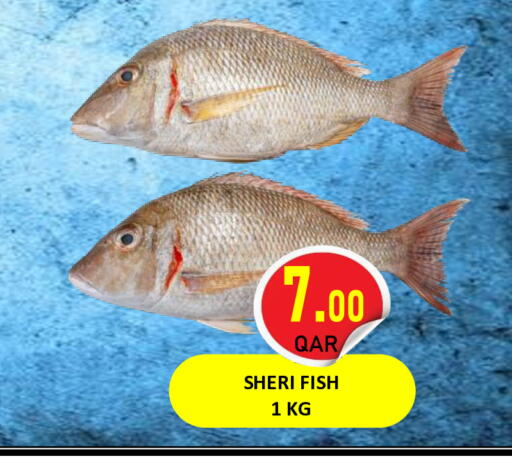 available at Regency Group in Qatar - Doha