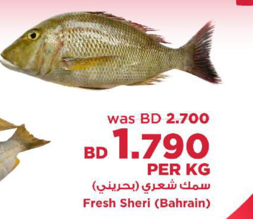 available at أسواق الحلي in البحرين