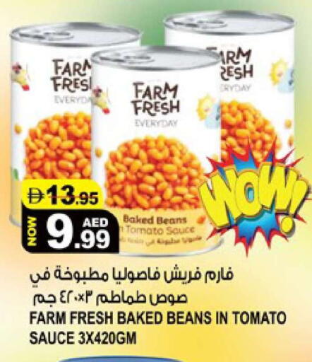 Tomato available at هاشم هايبرماركت in الإمارات العربية المتحدة , الامارات - الشارقة / عجمان