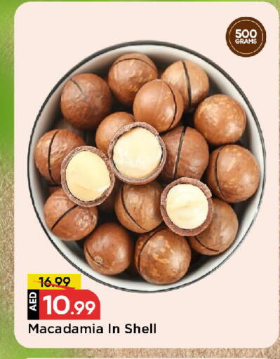 available at مارك & سيف in الإمارات العربية المتحدة , الامارات - الشارقة / عجمان