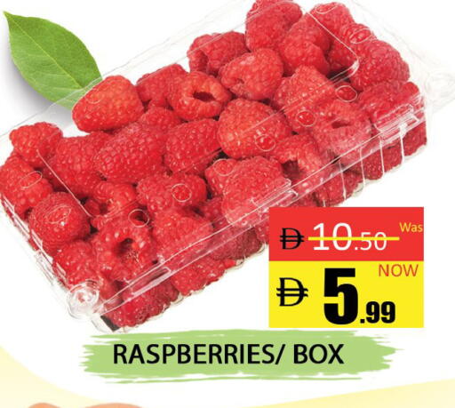 available at المدينة in الإمارات العربية المتحدة , الامارات - دبي